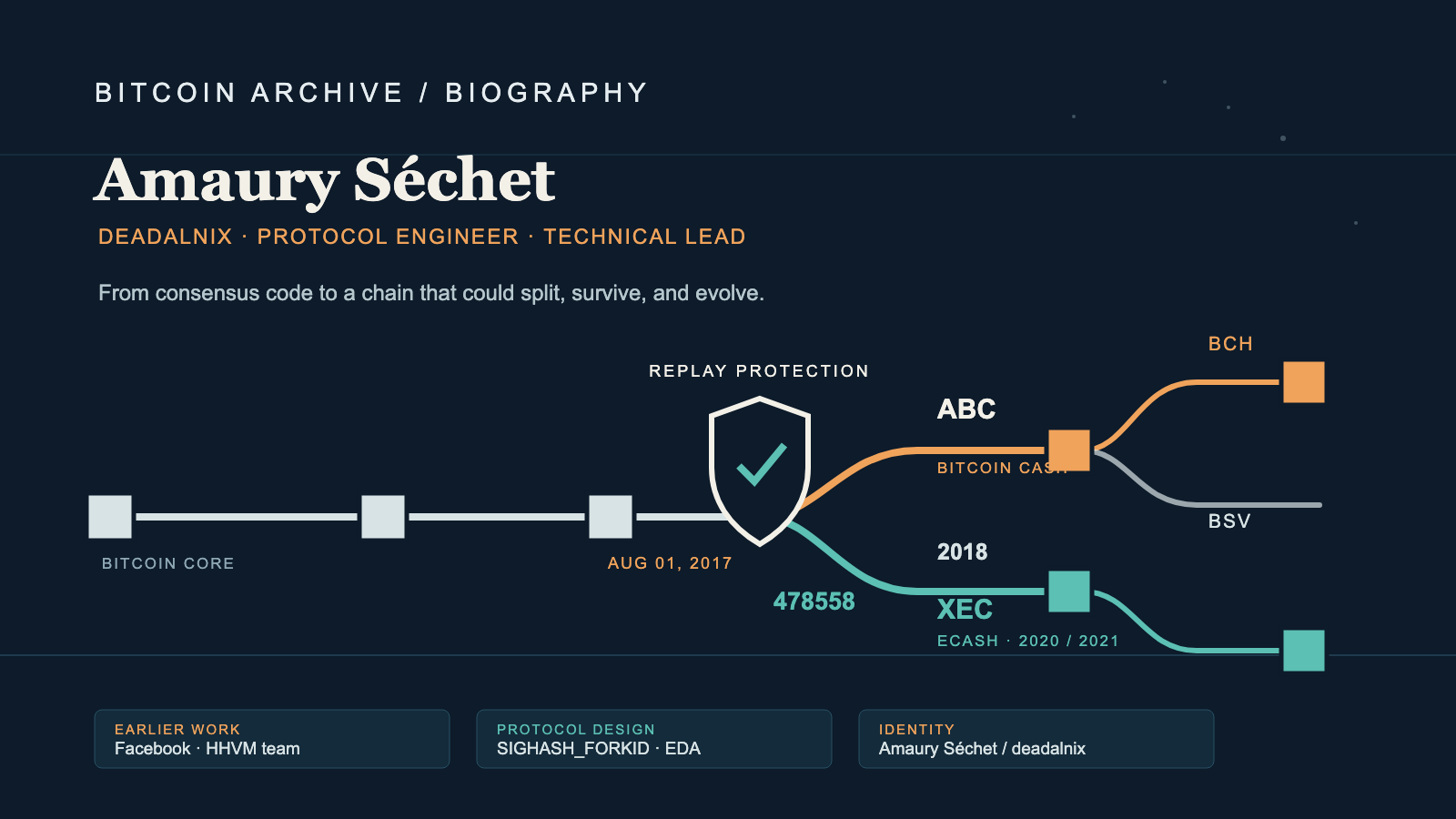 Editorial infographic with a horizontal chain-of-blocks timeline that forks at a shield-and-checkmark icon into two colored branches, each branch forking again further along, and three small caption boxes along the bottom.